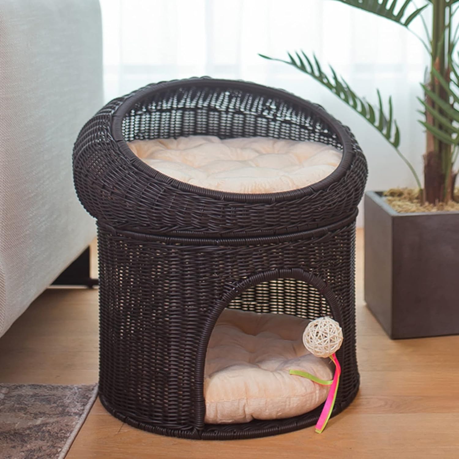 大村佳孝 MEOWTAL INITIATION スタジャン 猫 はちわれ あくありうむ